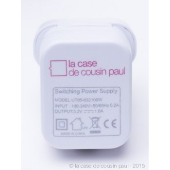 Guirlande Premium - 20 LED câble transparent UK - Accessoires Premium - La Case de Cousin Paul