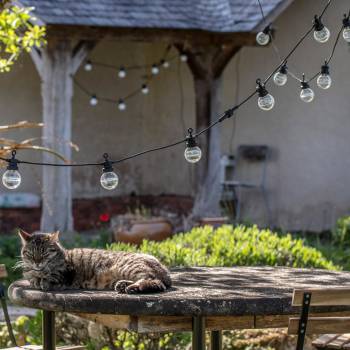 Guirlande Guinguette + extension transparente romantique - Reconditionnée - Guirlandes lumineuses d'extérieur - La Case de Co...