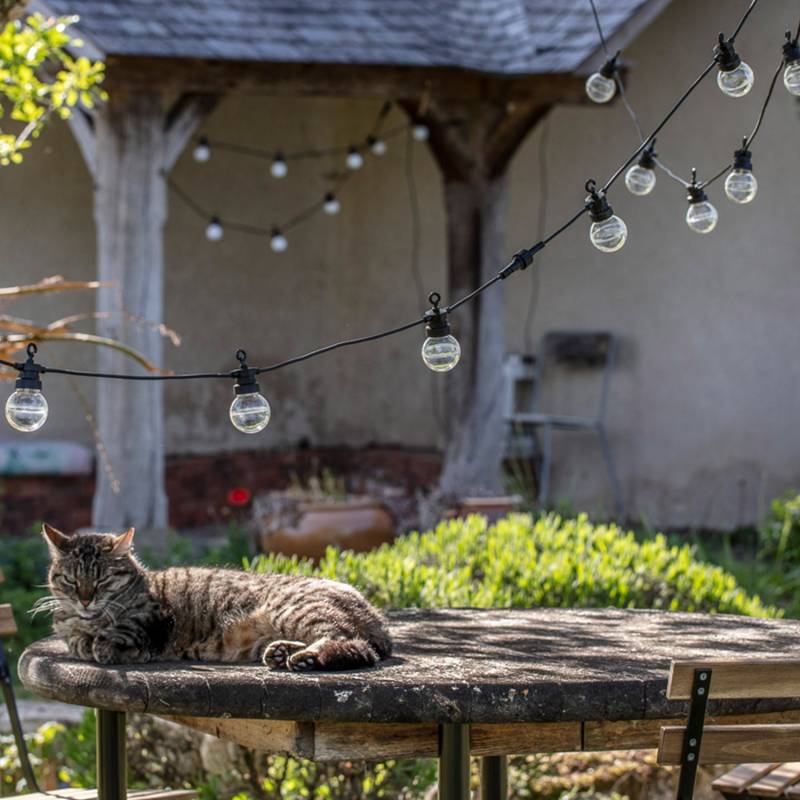 Guirlande Guinguette + extension transparente romantique - Reconditionnée - Guirlandes lumineuses d'extérieur - La Case de Co... Guirlande Guinguette + extension transparente romantique - Reconditionnée - Guirlandes lumineuses d'extérieur - La Case de Co...