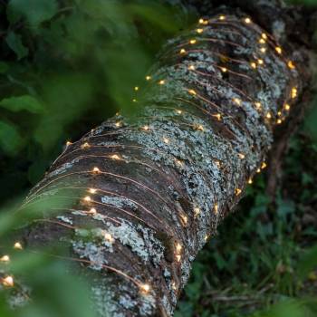 Lola light 200 LED - Feestdecoratie - La Case de Cousin Paul