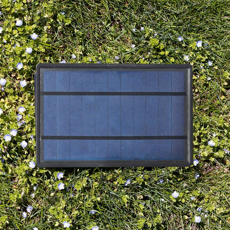 Solarpanel - Guirlandes Guinguettes Solaires - La Case de Cousin Paul