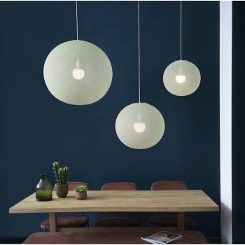 Globe Lime tree - New globe Lampshades - La Case de Cousin Paul