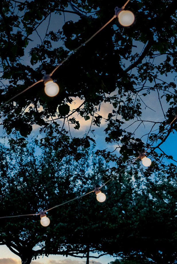 Garten-Lichterkette, Gartenbeleuchtung, Girlande 20 LED-Lampen für